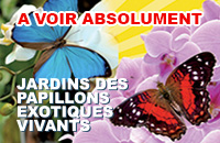 Jardin des Papillons